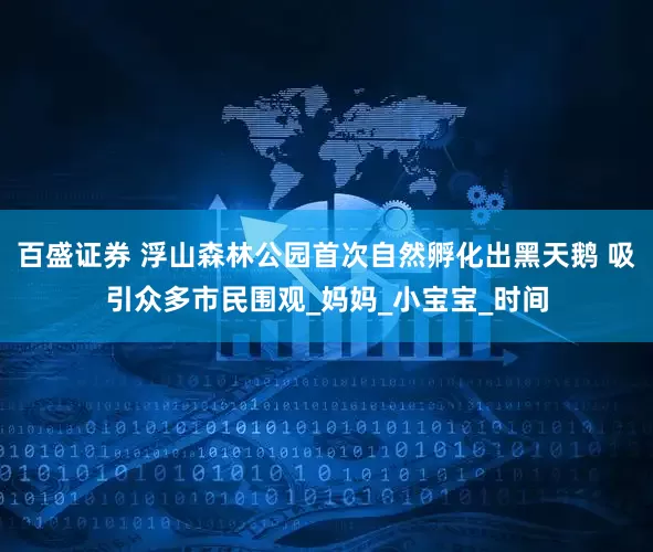 百盛证券 浮山森林公园首次自然孵化出黑天鹅 吸引众多市民围观_妈妈_小宝宝_时间