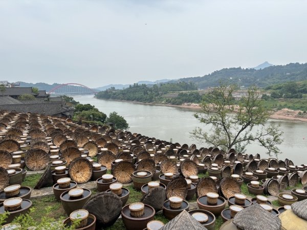 双盈策略 活力中国调研行丨百年酱园晒场，今朝文旅探路