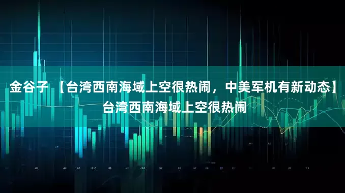 金谷子 【台湾西南海域上空很热闹，中美军机有新动态】 台湾西南海域上空很热闹